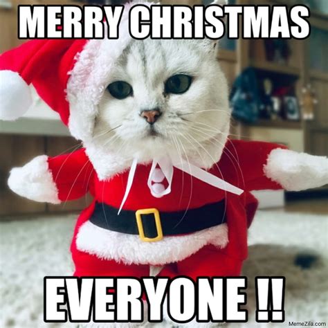 christmas cat meme